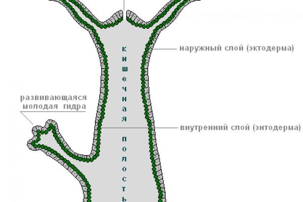 Кракен даркнет сайт