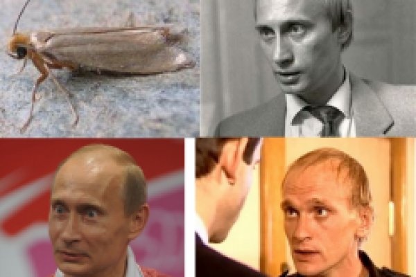 Зарегистрироваться на сайте кракен