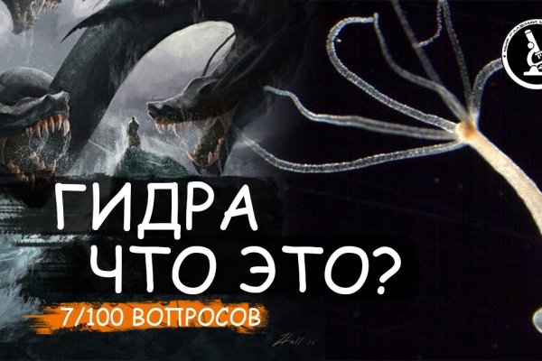 Пользователь не найден при входе на кракен